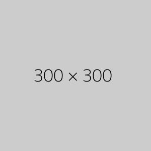 300x300